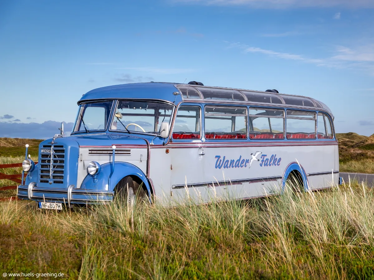 Vintage coach in a meadow landscape.