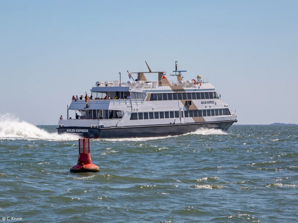 Passenger vessel at sea beside a navigation buoy.