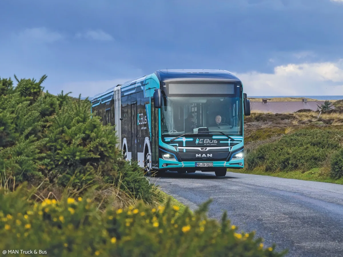 Blue city bus on a road between bushes.